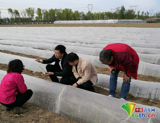 雷火电竞北京农技推广站裴志超：在良田间耕耘的技术能手(图3)