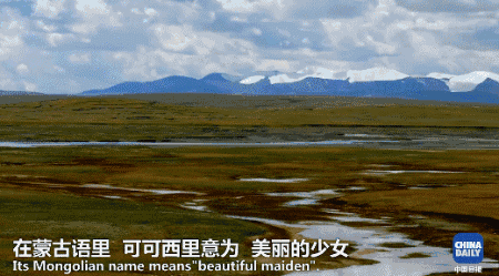 美丽的可可西里!你可知是谁在守护这片高原净