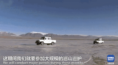 美丽的可可西里!你可知是谁在守护这片高原净